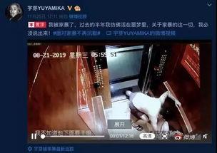 网红爆料家暴视频大全最新,触目惊心的家庭暴力真相  第2张